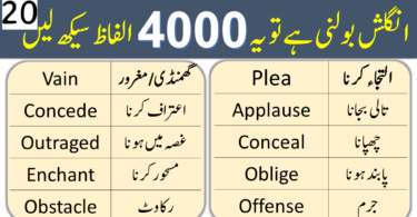 4000 English Vocabulary Words with Urdu Meanings Class 20