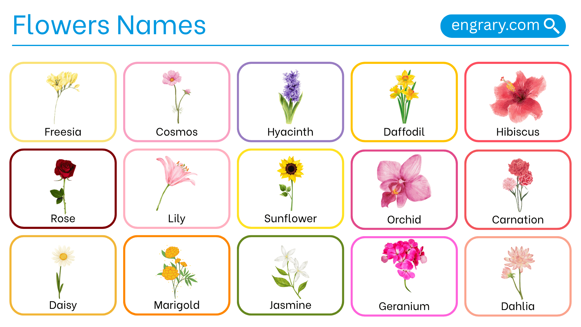 Flower Names in English with Pictures - Complete Vocabulary • Engrary, image size:1920x1080