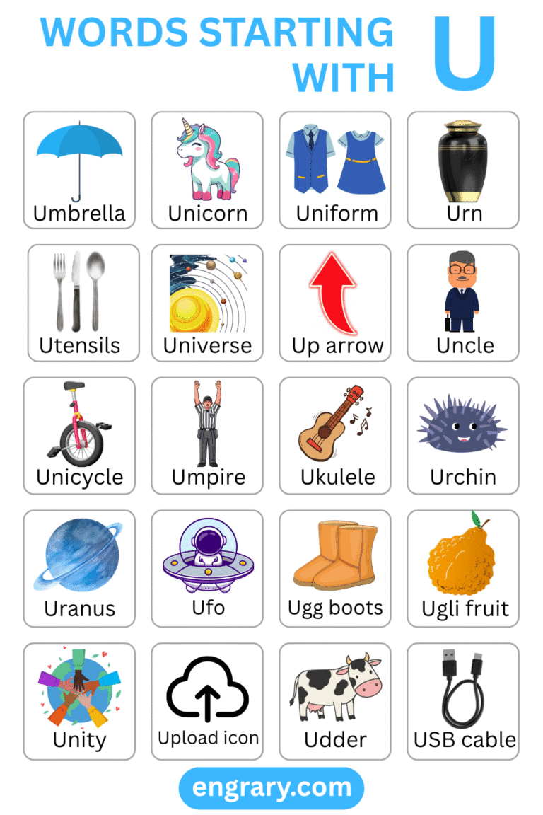 222+ Words Starting with U - English List • Engrary