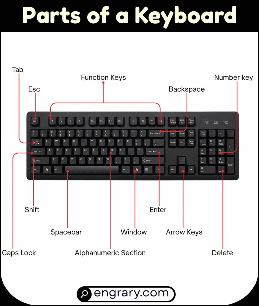 Parts of a Keyboard: 40+ Names, Functions and Labeled Diagram • Engrary