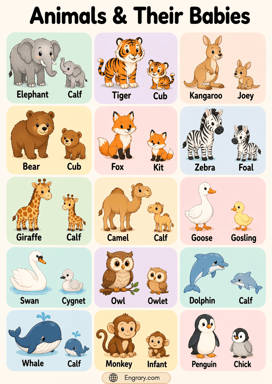 100 Animals and Their Young Ones Names in English with Pictures • Engrary