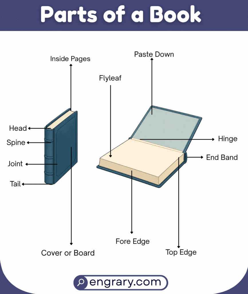 Parts of a Book With Labeled Diagram and Functions • Engrary