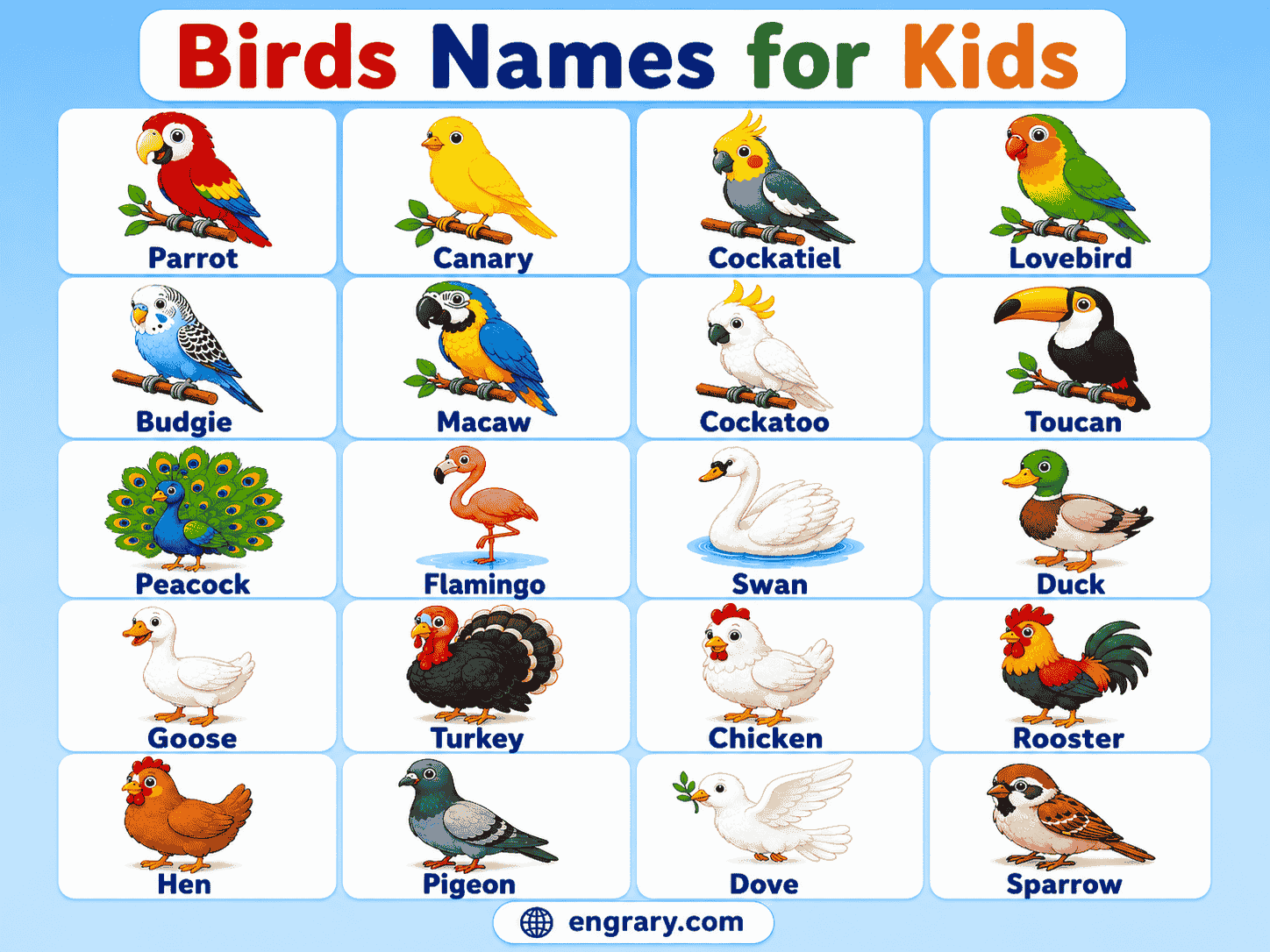 100+ Bird Names for Kids with Pictures and Meanings • Engrary