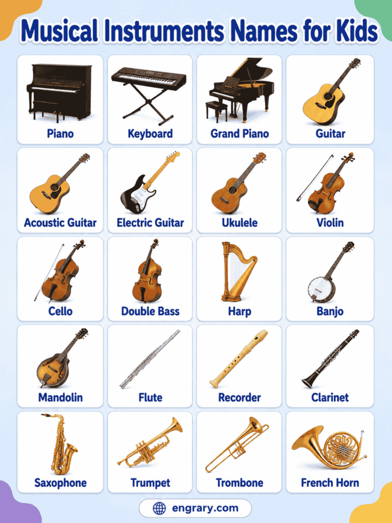 Musical Instruments for Kids with Pictures and Meanings • Engrary