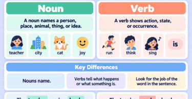 Verb vs Noun in English Grammar: Differences and Examples